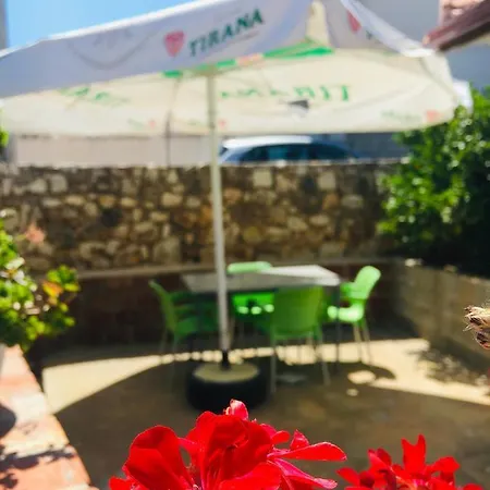 Vila Agim クサミル